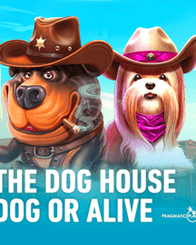The Dog House - Dog or Alive
