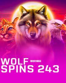 Wolf Spins 243