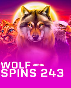 Wolf Spins 243