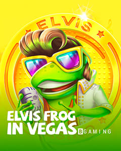 Elvis Frog in Vegas