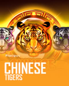 Chinese Tigers