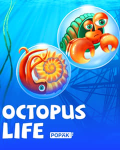 Octopus Life