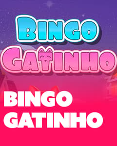 Bingo Gatinho
