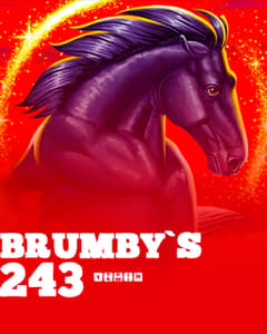 Brumby's 243