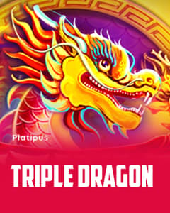 Triple Dragon